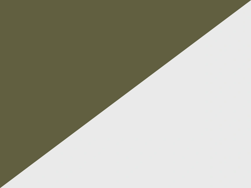 Verde Olive + Alabaster White